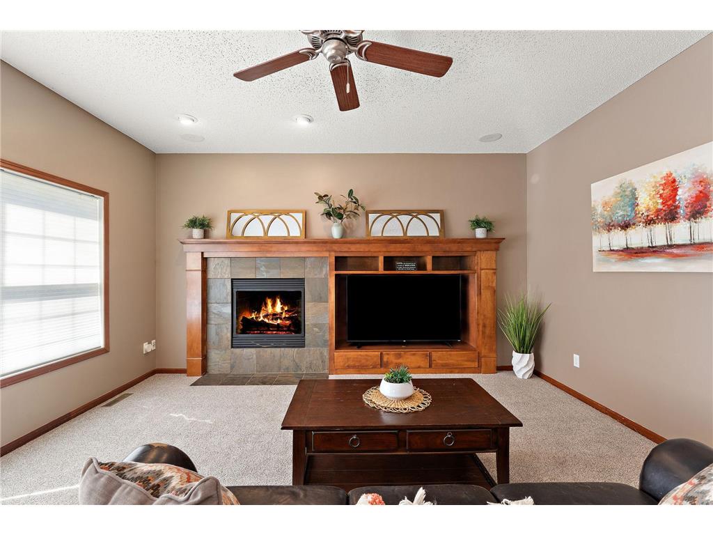 6230 Homestead Avenue S Cottage Grove MN 55016 7054703 image21