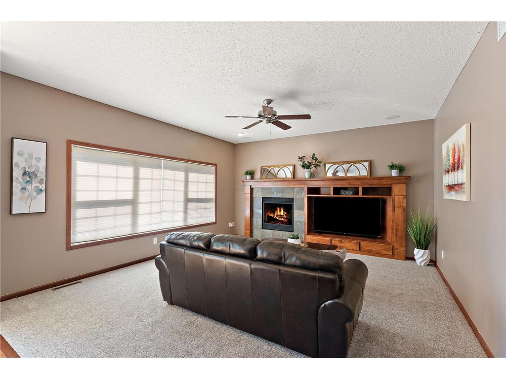 6230 Homestead Avenue S Cottage Grove MN 55016 7054703 image23
