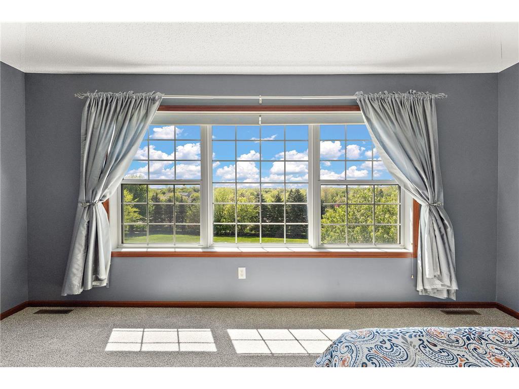 6230 Homestead Avenue S Cottage Grove MN 55016 7054703 image29