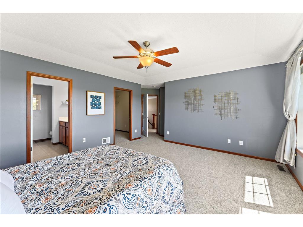 6230 Homestead Avenue S Cottage Grove MN 55016 7054703 image30