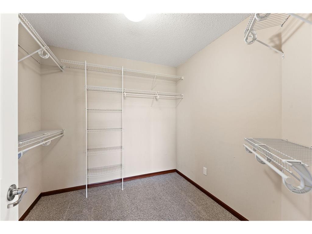 6230 Homestead Avenue S Cottage Grove MN 55016 7054703 image31