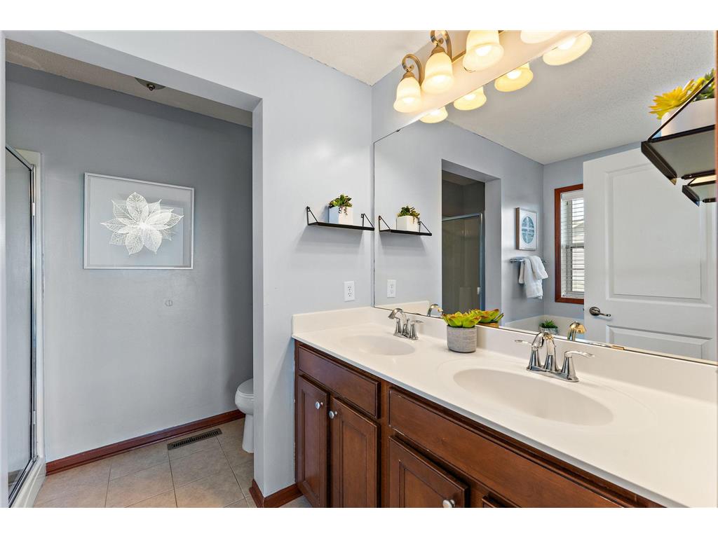 6230 Homestead Avenue S Cottage Grove MN 55016 7054703 image32