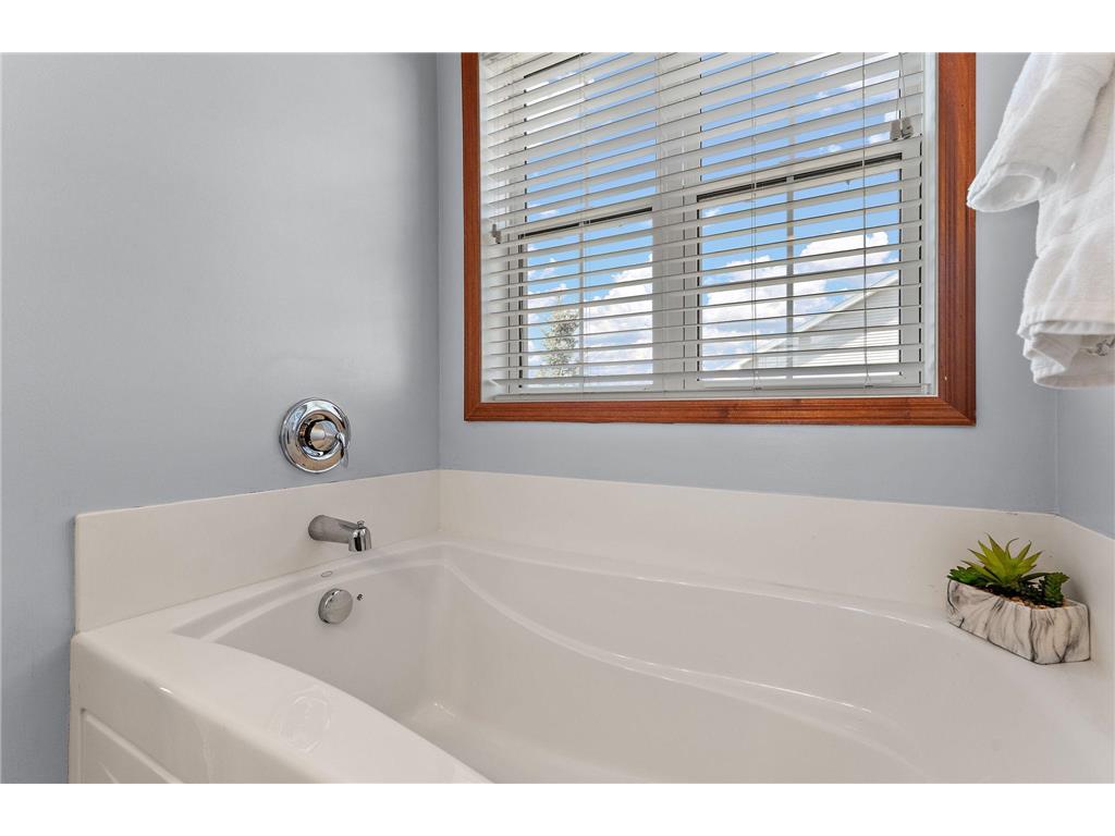 6230 Homestead Avenue S Cottage Grove MN 55016 7054703 image33