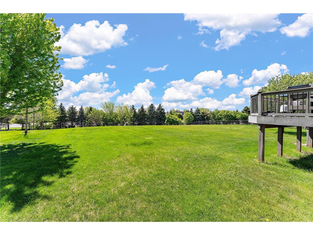 6230 Homestead Avenue S Cottage Grove MN 55016 7054703 image47