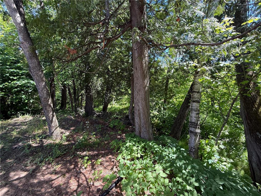 6231 72nd Street NE #1 Remer Twp MN 56672 - Big Sand Lake 7110764 image14