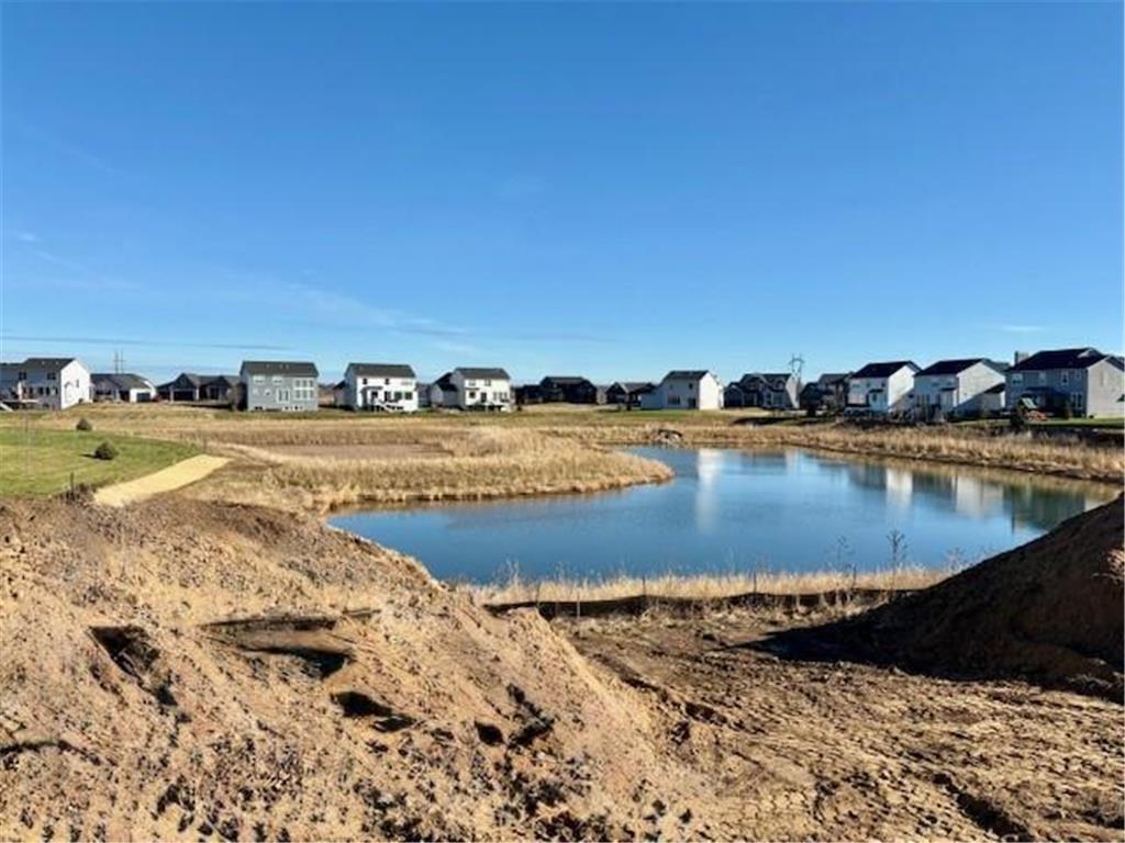 6235 Jensen Avenue South Cottage Grove MN 55016 7011331 image9