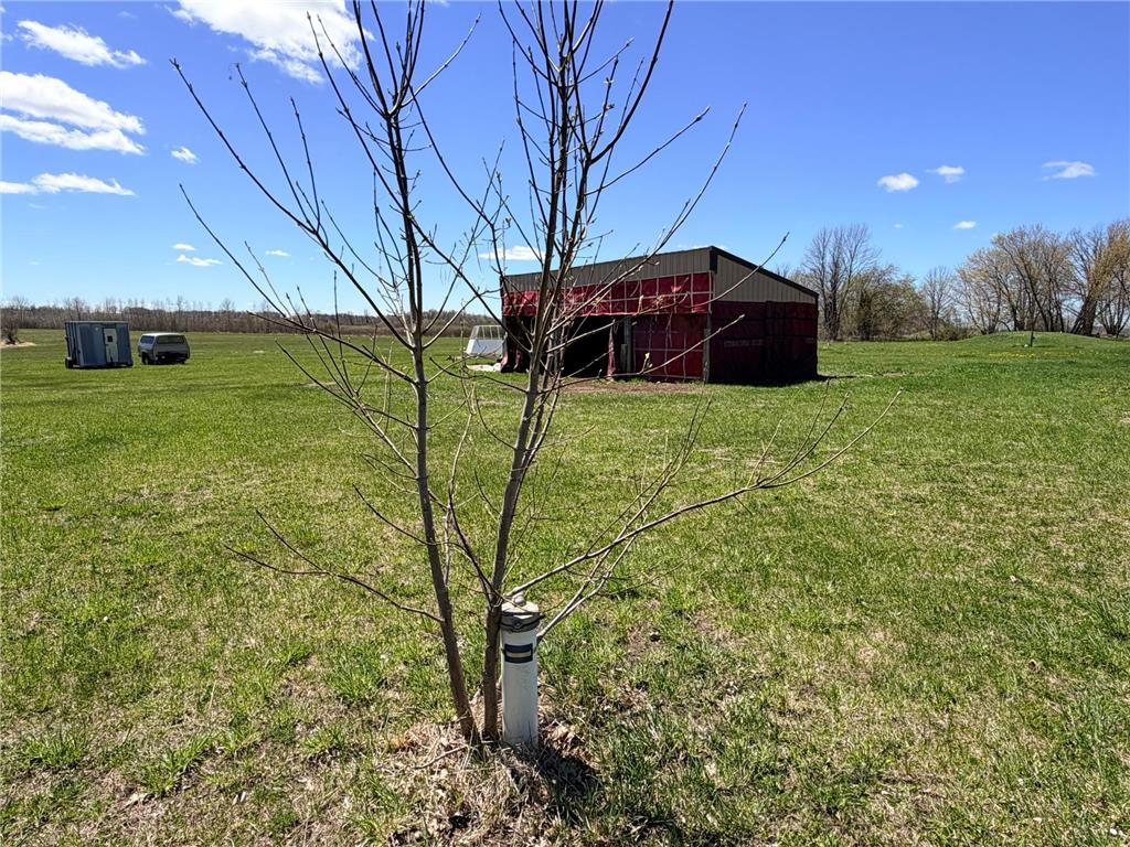 62362 450th Street Sebeka MN 56477 7056854 image11