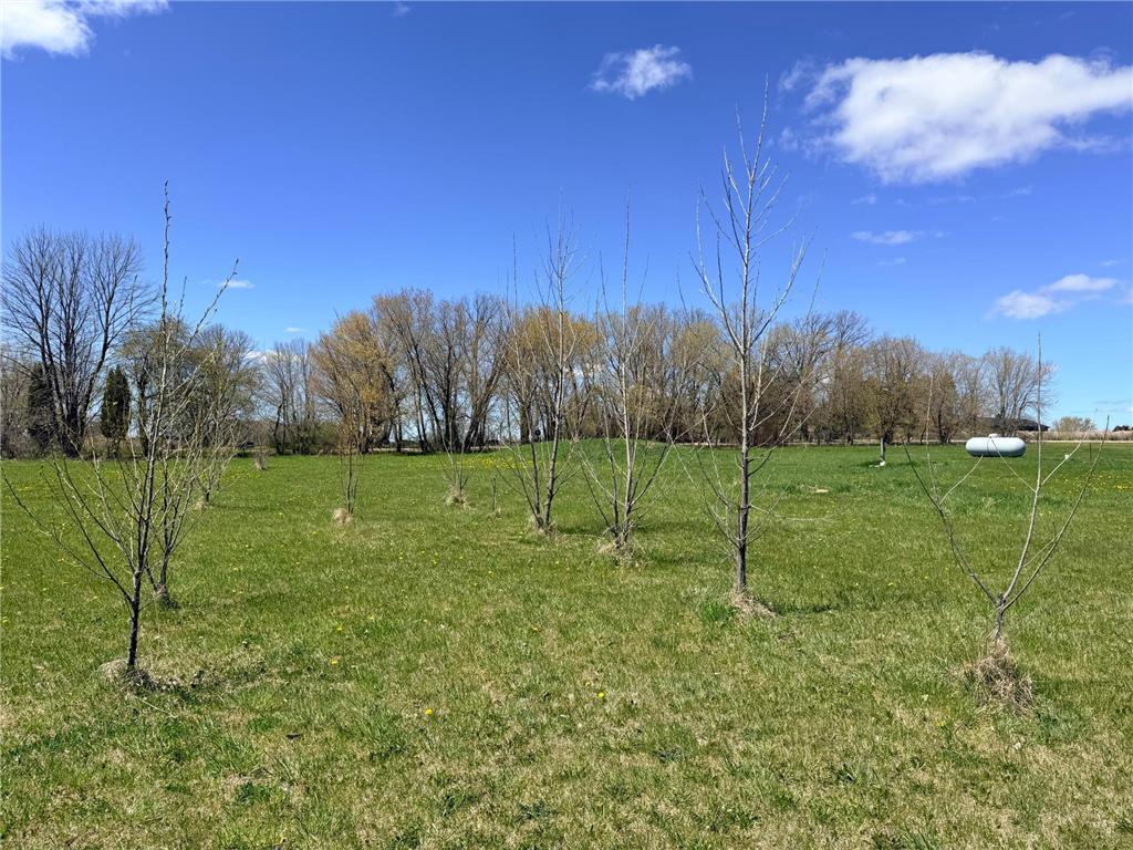 62362 450th Street Sebeka MN 56477 7056854 image4