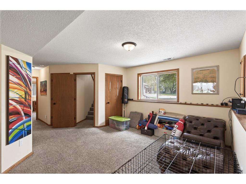 6237 Kalenda Lane NE Albertville MN 55301 7068697 image18