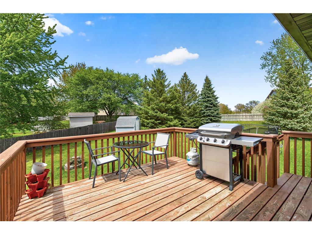 6237 Kalenda Lane NE Albertville MN 55301 7068697 image27