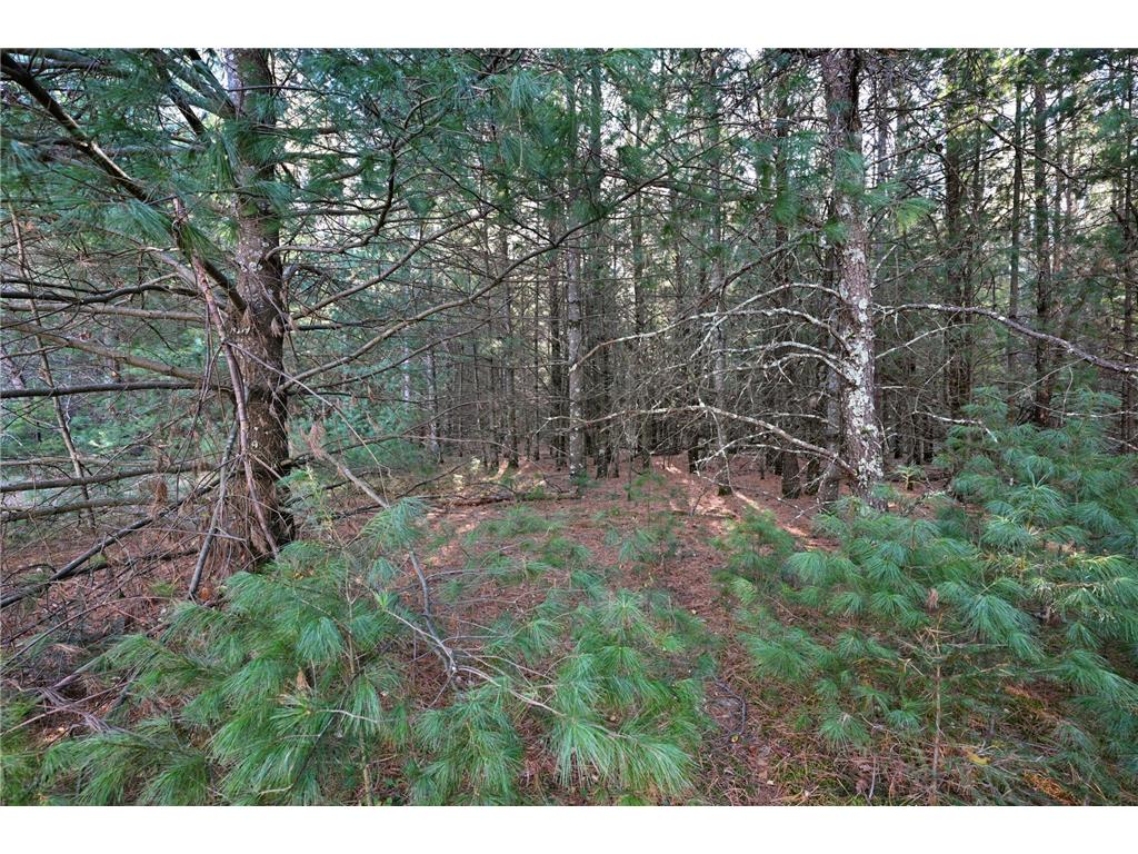 624 N Pine Street Grantsburg WI 54840 6813868 image39