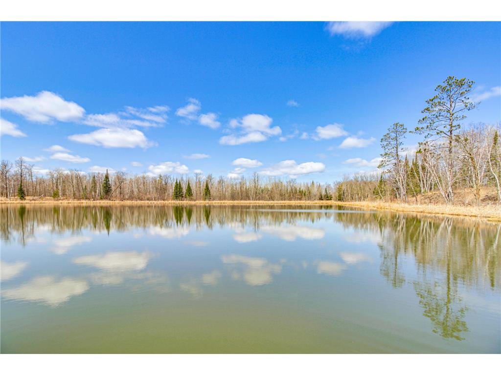6242 Hendricks Haven Road NE Tenstrike MN 56683 7090598 image39