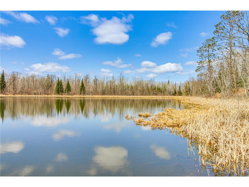 6242 Hendricks Haven Road NE Tenstrike MN 56683 7090598 image42
