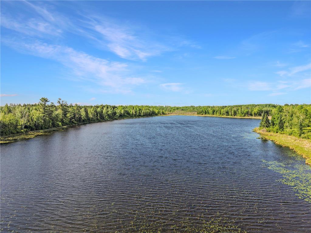 6242 Hendricks Haven Road NE Tenstrike MN 56683 7090598 image43