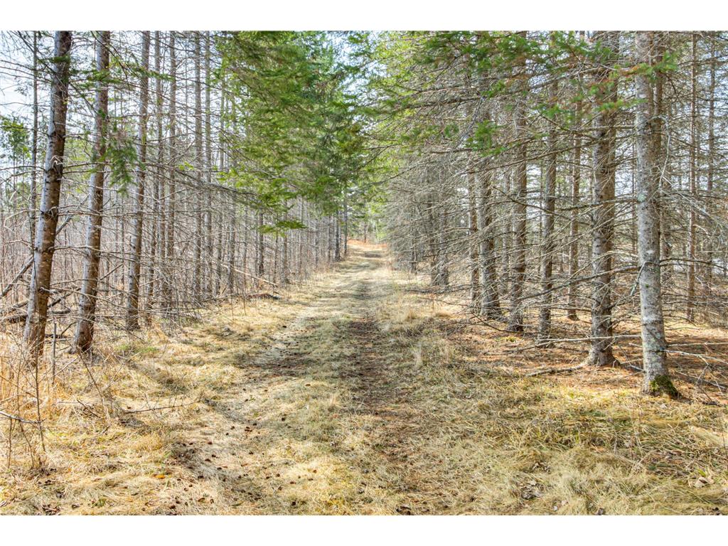 6242 Hendricks Haven Road NE Tenstrike MN 56683 7090598 image7