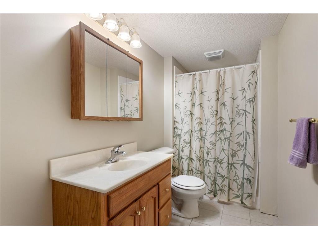 6247 Albert Lane North Branch MN 55056 7081828 image23
