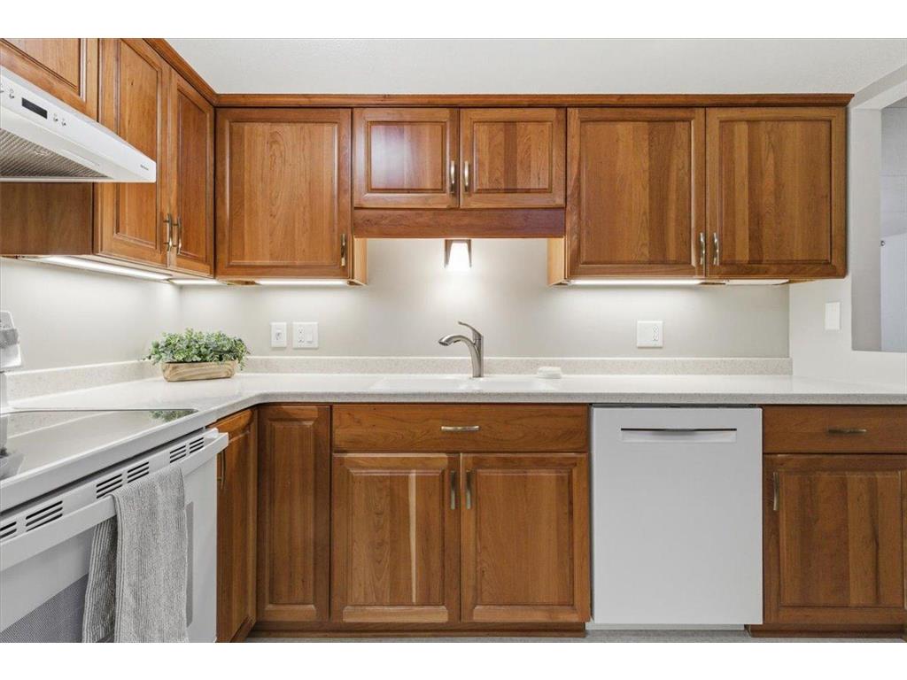 625 19th Street NW #103 Rochester MN 55901 6816381 image13