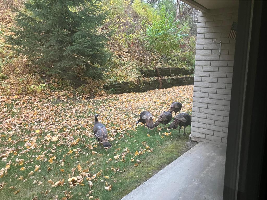 625 19th Street NW #103 Rochester MN 55901 6816381 image30