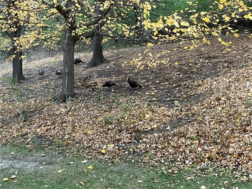 625 19th Street NW #103 Rochester MN 55901 6816381 image31