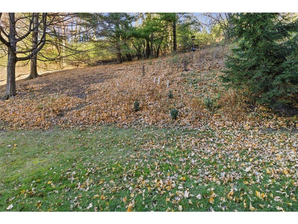 625 19th Street NW #103 Rochester MN 55901 6816381 image35