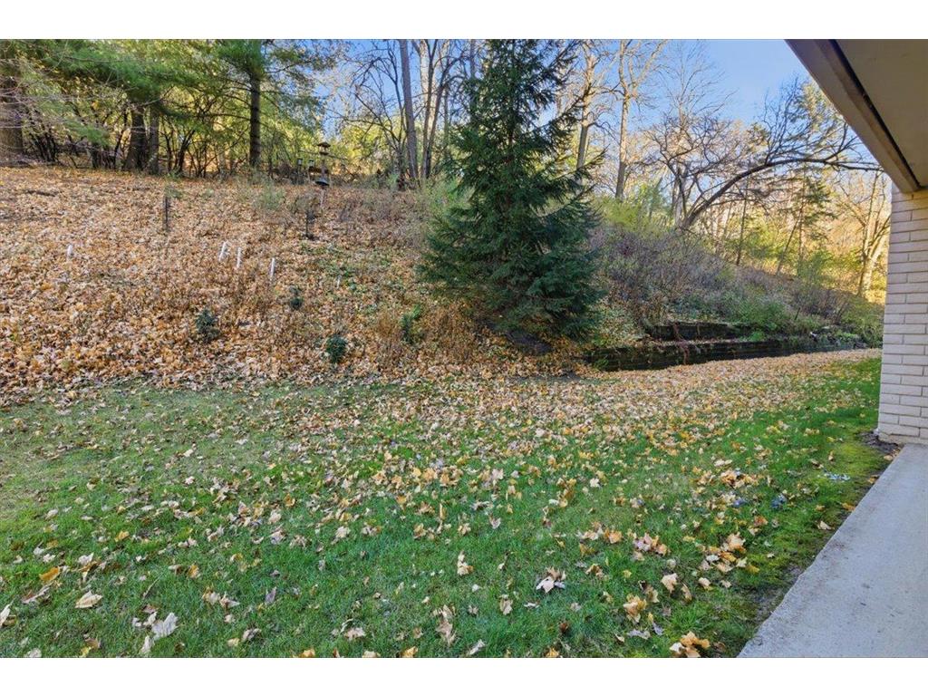 625 19th Street NW #103 Rochester MN 55901 6816381 image36