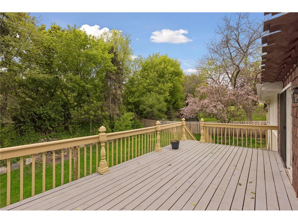 625 Alvarado Lane N Plymouth MN 55447 7060649 image47