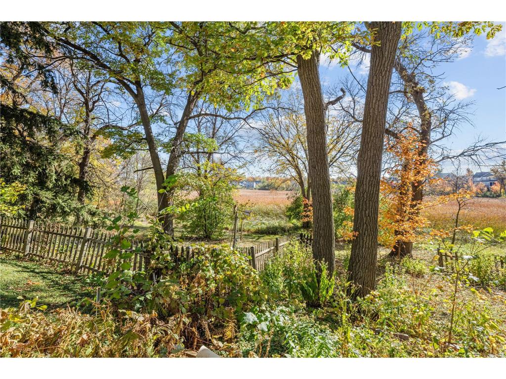 625 Hackamore Road Medina MN 55340 6811343 image22