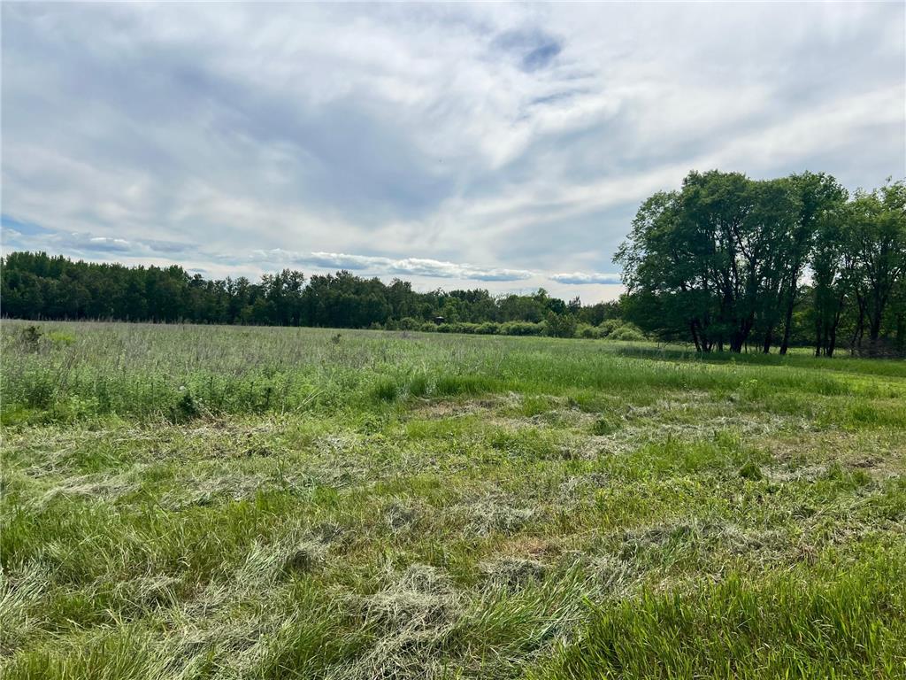 62503 310th Street Compton Twp MN 56482 7096665 image39