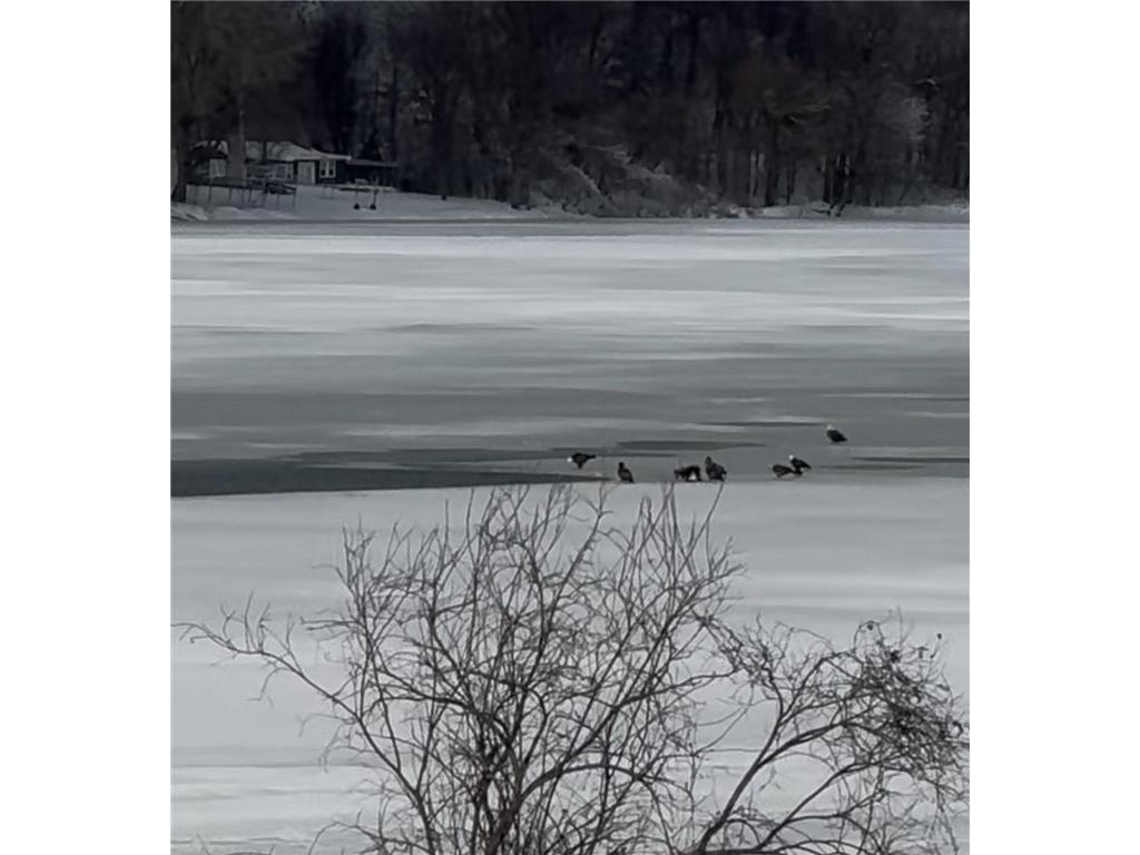 6255 232nd Street W Faribault MN 55021 - Cannon 6817767 image66