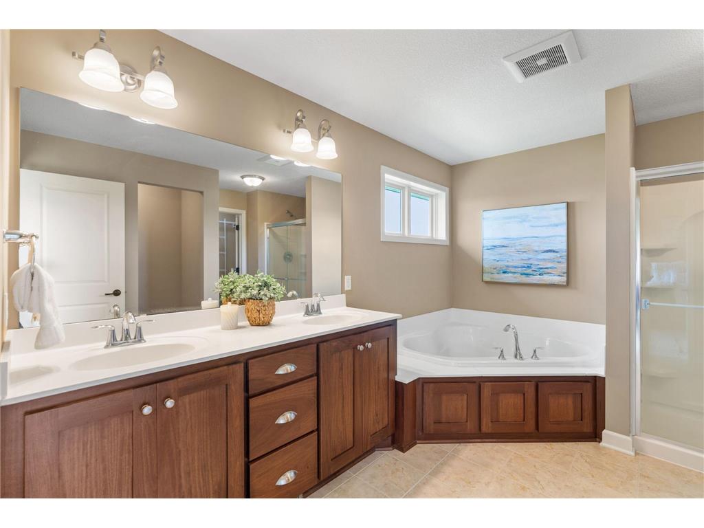 6256 Olive Lane N Maple Grove MN 55311 7070931 image29