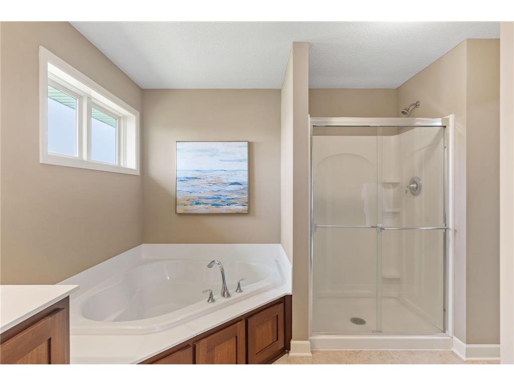 6256 Olive Lane N Maple Grove MN 55311 7070931 image30
