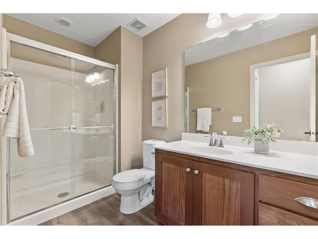 6256 Olive Lane N Maple Grove MN 55311 7070931 image43