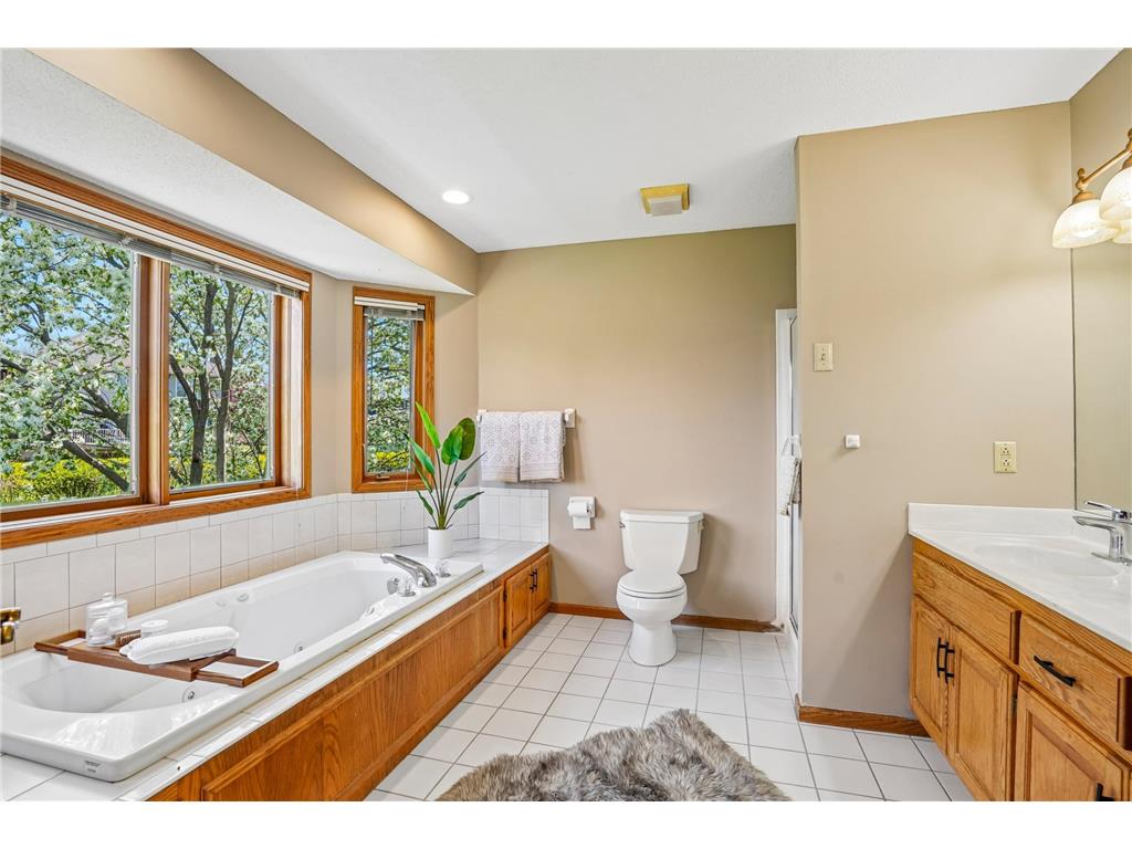 6262 Fernbrook Lane N Maple Grove MN 55311 7071045 image13