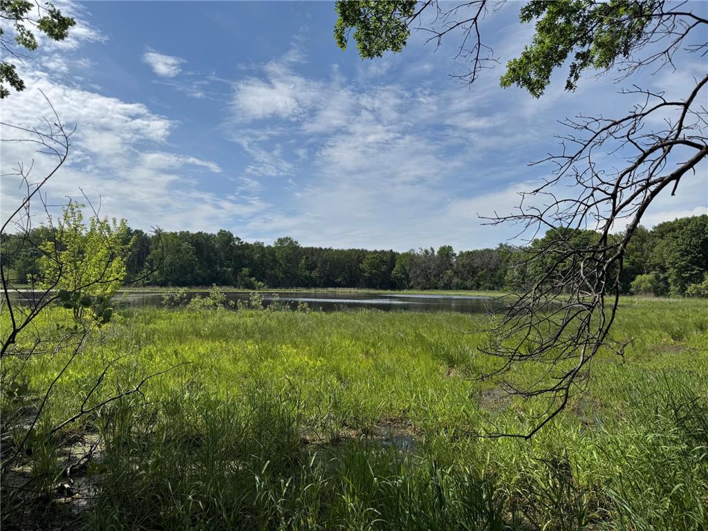 6271 61st Street S Cottage Grove MN 55016 7094174 image28