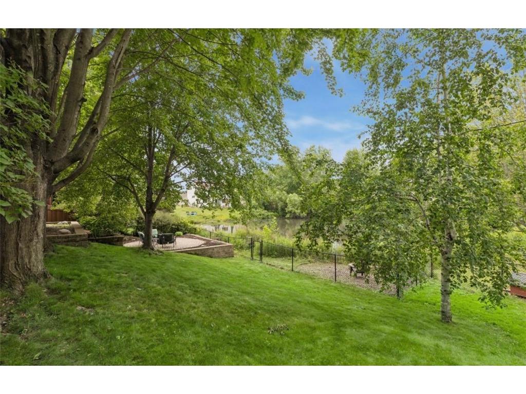 628 Eagle Ridge Road Woodbury MN 55125 7095665 image35