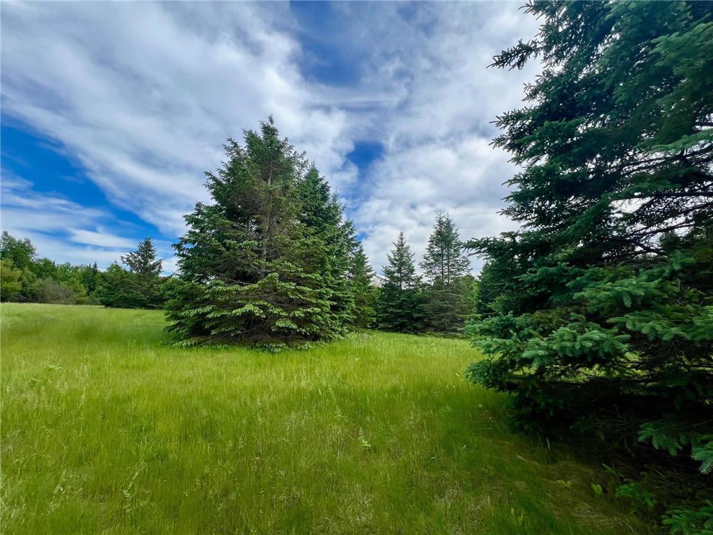 6281 County 4 NE Remer MN 56672 6550819 image1