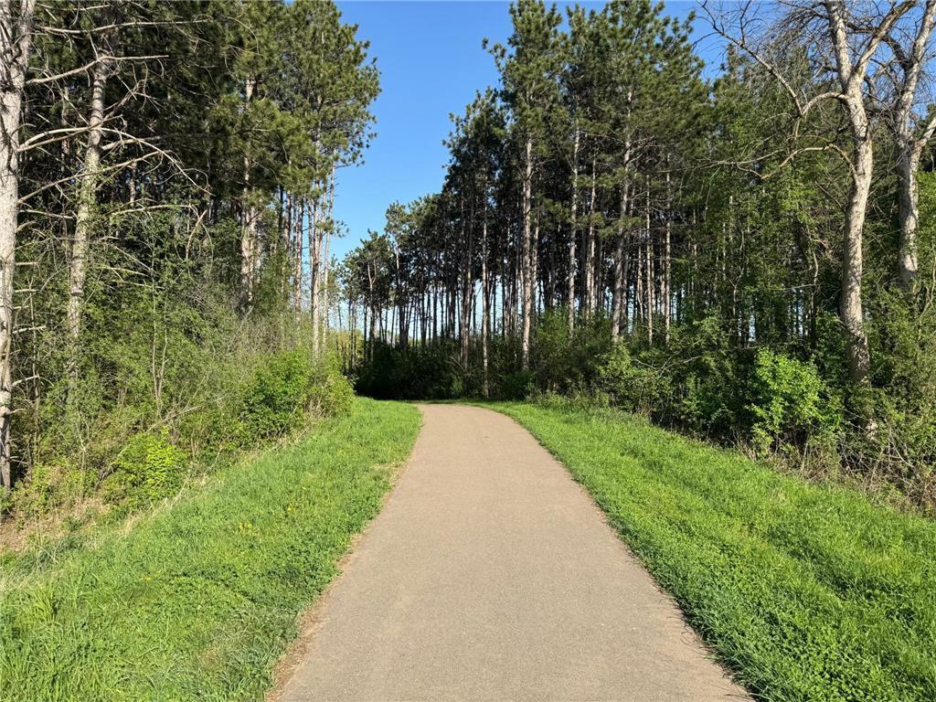 6283 61st Street S Cottage Grove MN 55016 7092742 image38