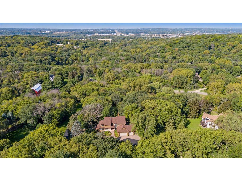 6287 Crackleberry Trail Woodbury MN 55129 6684081 image3