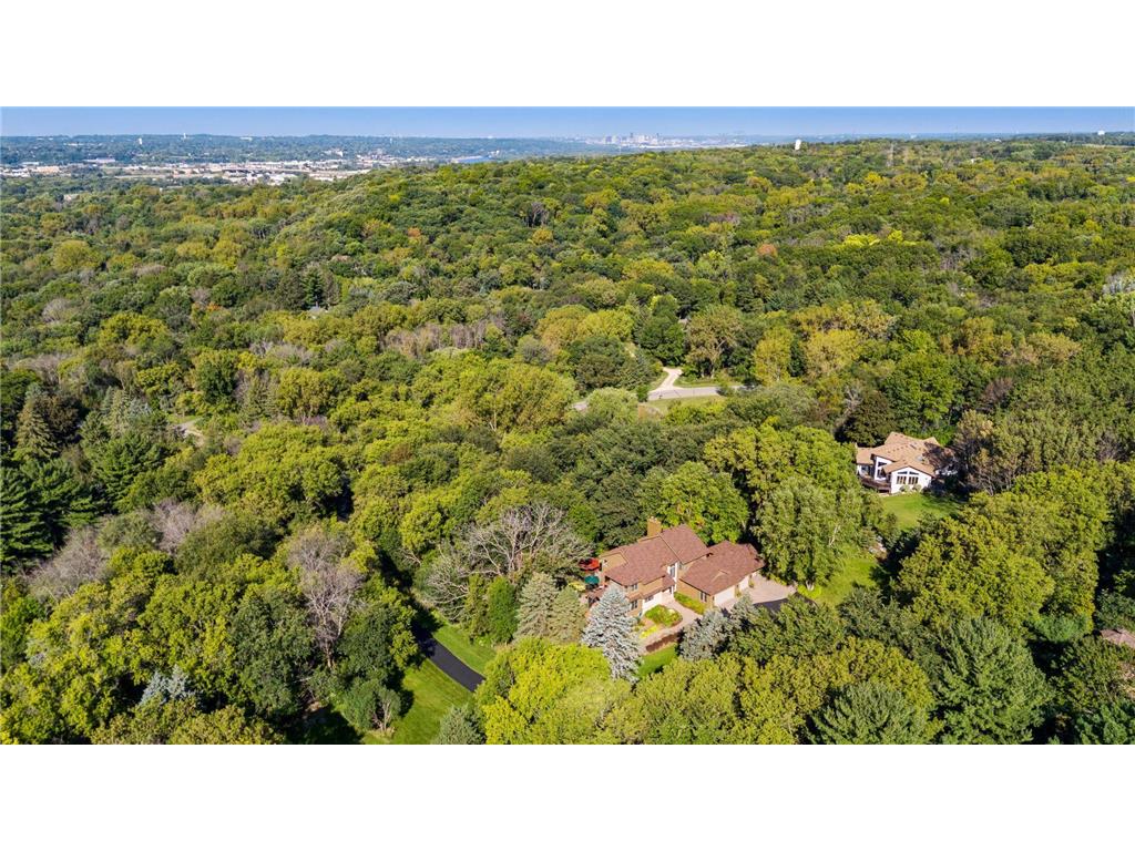 6287 Crackleberry Trail Woodbury MN 55129 6684081 image65