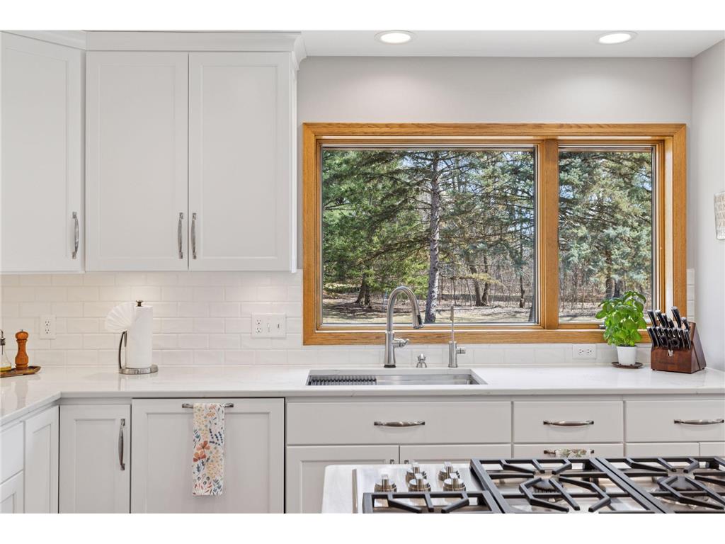 6287 Crackleberry Trail Woodbury MN 55129 7047872 image15