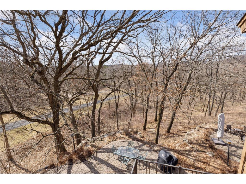 6287 Crackleberry Trail Woodbury MN 55129 7047872 image75