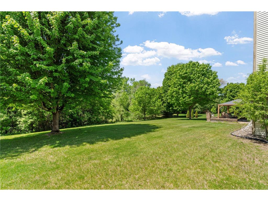 6290 Hedgecroft Avenue S Cottage Grove MN 55016 7075234 image79