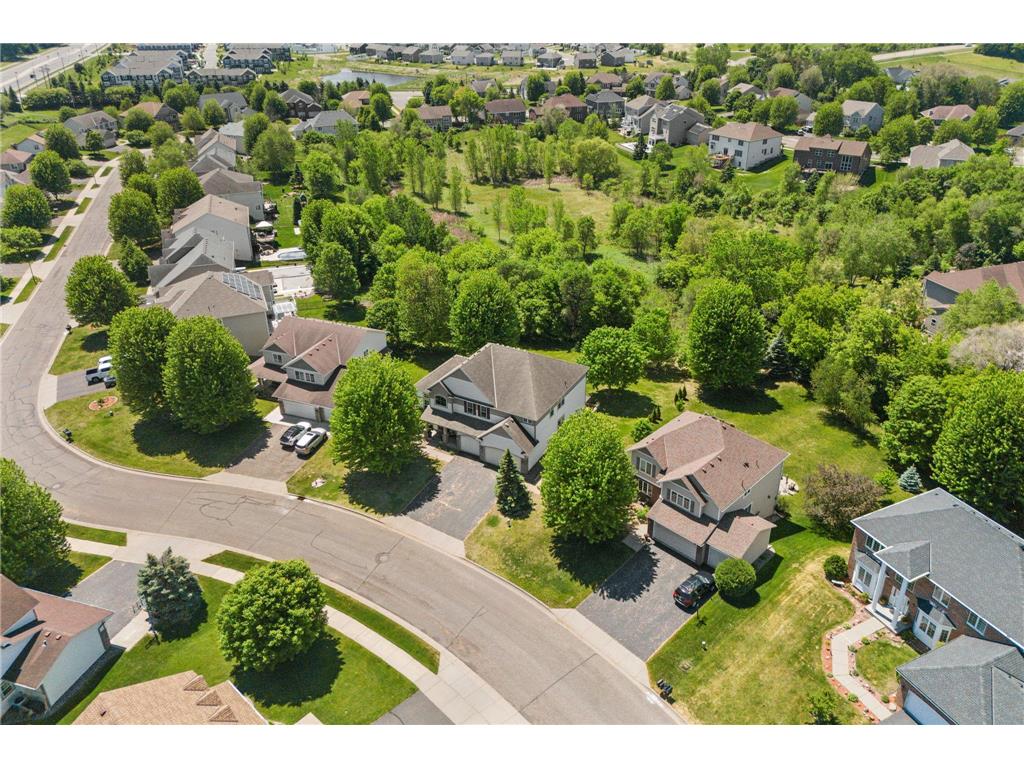 6290 Hedgecroft Avenue S Cottage Grove MN 55016 7075234 image93