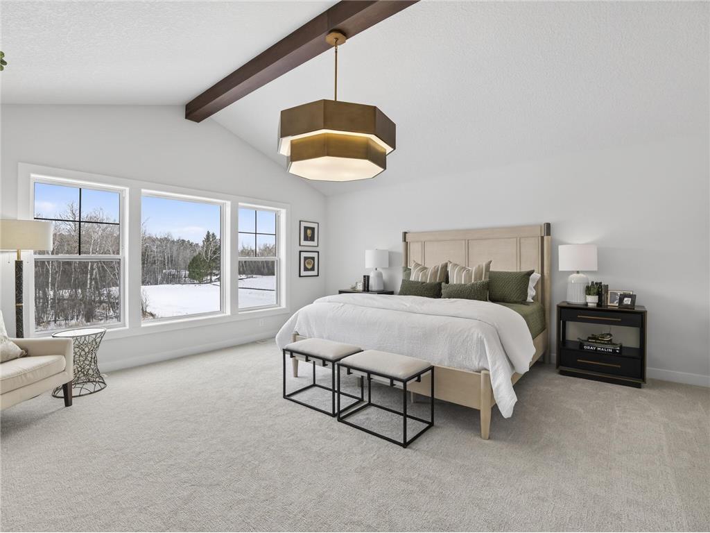 6295 134th Street N Hugo MN 55038 7033534 image29
