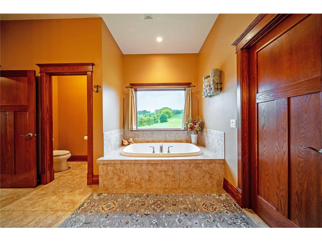 62997 430th Avenue Mazeppa MN 55956 7040224 image30