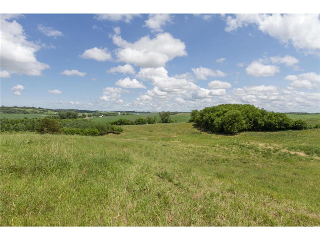 62997 430th Avenue Mazeppa MN 55956 7040224 image56