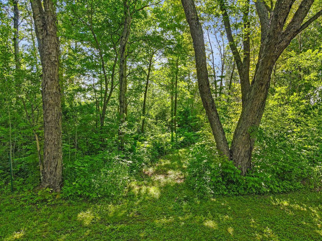 63 Bruce Circle Thomson Twp MN 55733 7096810 image49
