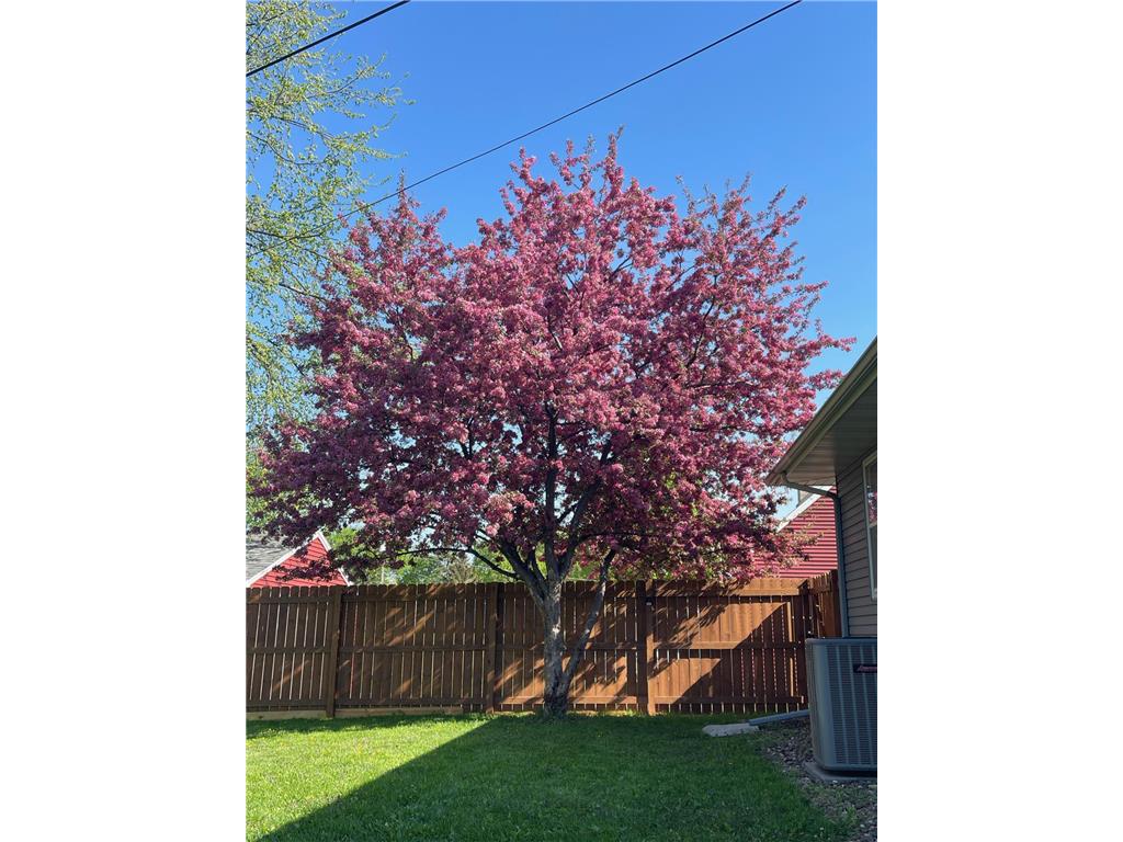 63 Ferndale Street N Maplewood MN 55119 7064005 image26