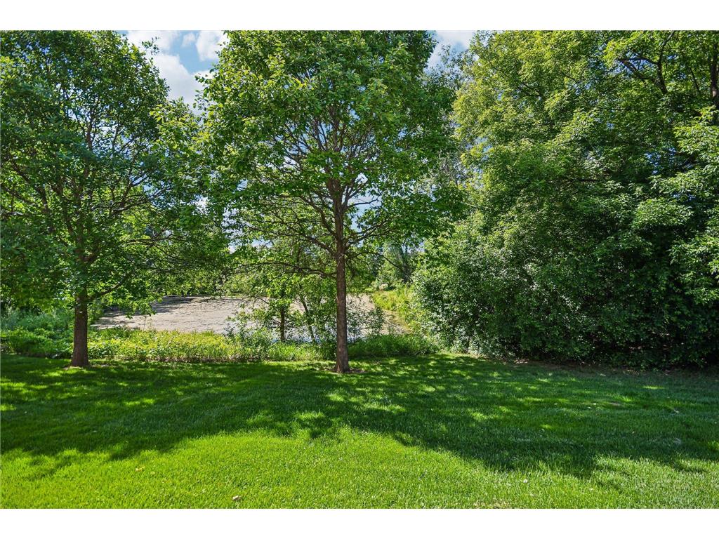630 Sutherland Drive Woodbury MN 55129 7052500 image20