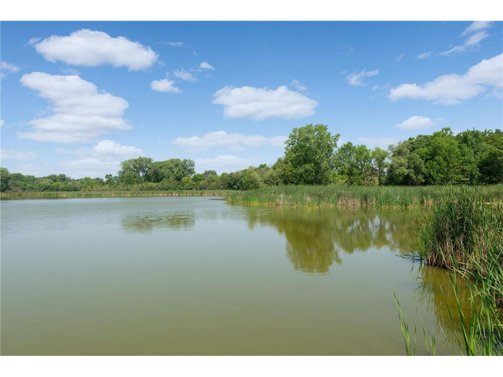 6300 Xerxes Avenue S #31 Edina MN 55423 7006300 image39